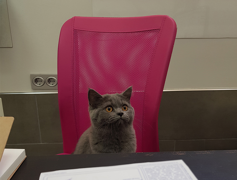 Día 16/07 cerramos por festivo