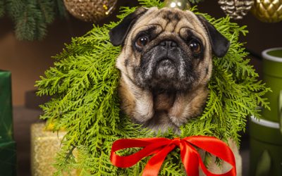 Felices Fiestas y Próspero Año Nuevo