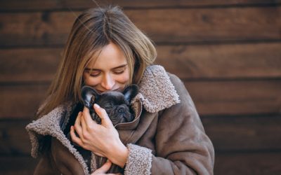 Siete consejos para proteger a tu mascota del frío en invierno