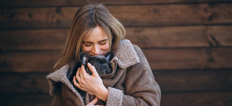 Siete consejos para proteger a tu mascota del frío en invierno