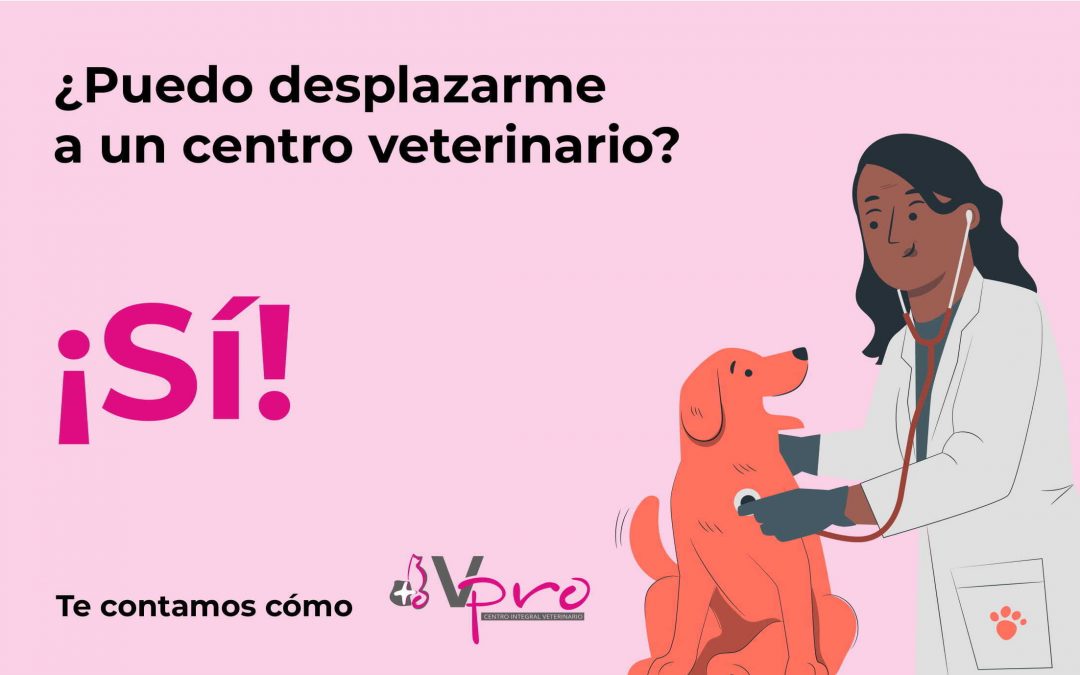Seguimos abiertos para cuidar de la salud de tu mascota