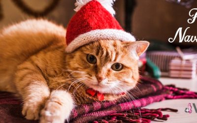 Feliz Navidad y Próspero Año Nuevo