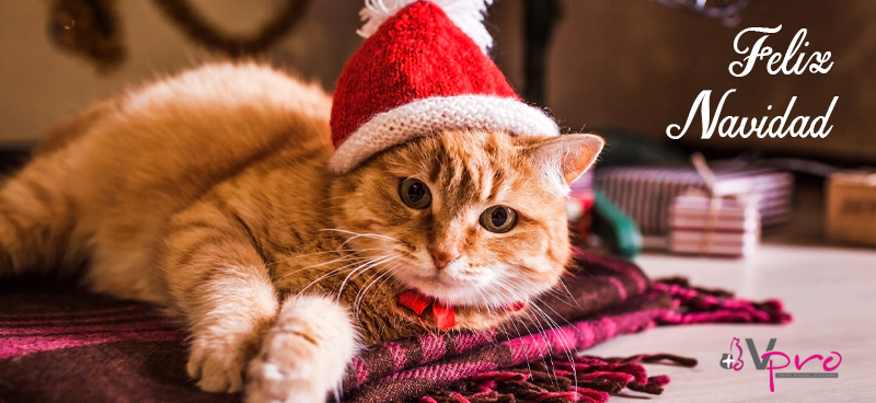 feliz navidad veterinario aguadulce