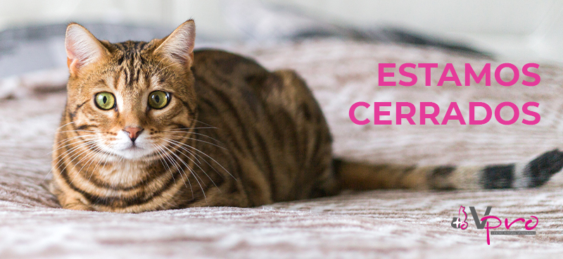 IMPORTANTE: Cerramos durante los próximos días