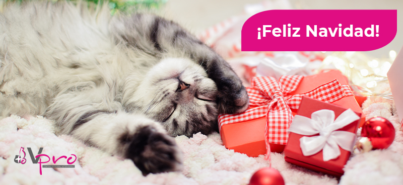 Felices Fiestas y Próspero Año Nuevo